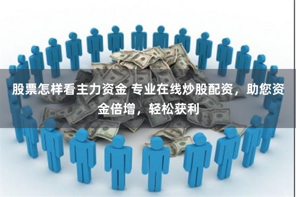 股票怎样看主力资金 专业在线炒股配资，助您资金倍增，轻松获利