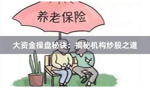 大资金操盘秘诀：揭秘机构炒股之道
