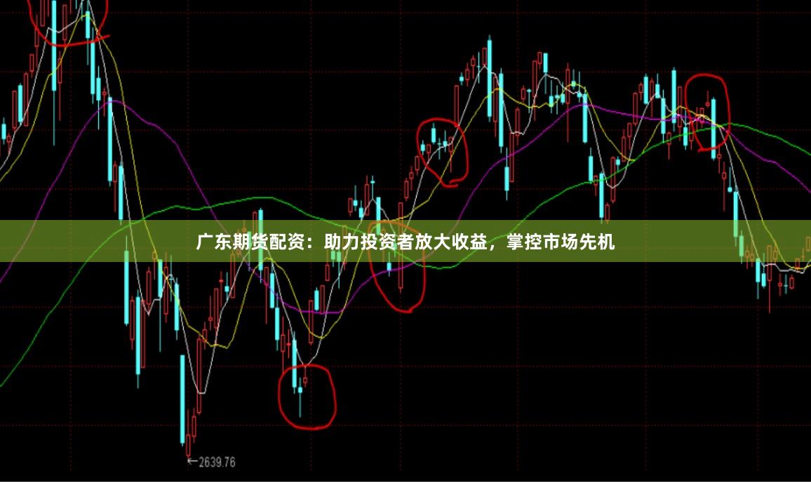广东期货配资：助力投资者放大收益，掌控市场先机
