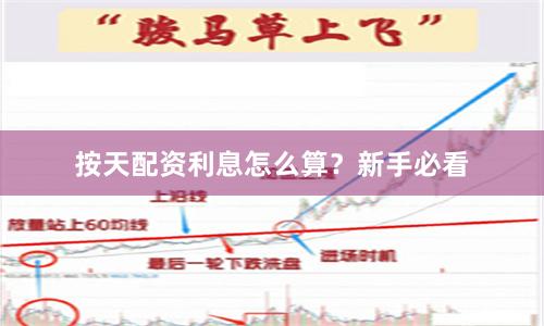 按天配资利息怎么算？新手必看
