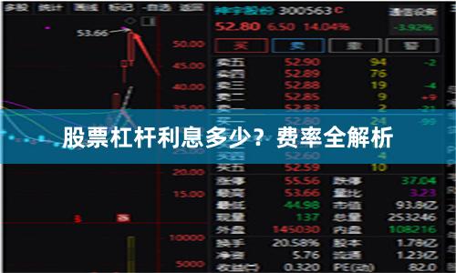 股票杠杆利息多少？费率全解析