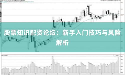 股票知识配资论坛:新手入门技巧与风险解析